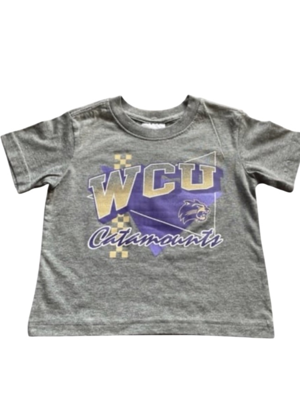 Hanes 4T WCU Tee